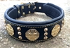 Picture of Bestia Maximus Dog Collar Black & Gold